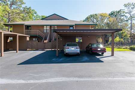 1806 Lennox Rd E #1806 Palm Harbor, FL 34683