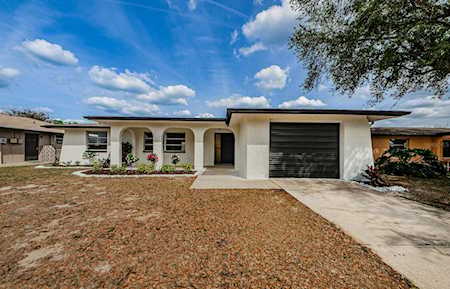 3438 Calera Dr Holiday, FL 34690