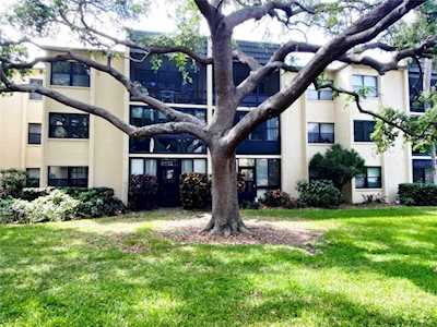 14130 Rosemary Ln #6305 Largo, FL 33774