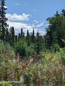 65993 Junction Ave Anchor Point, AK 99556