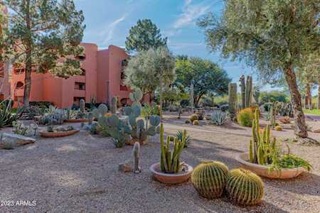 4303 E Cactus Road #349 Phoenix, AZ 85032