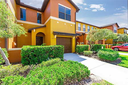 30118 Mossbank Dr Wesley Chapel, FL 33543