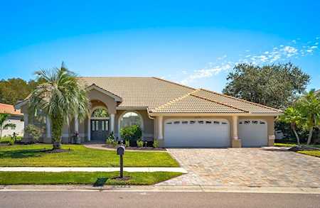2679 Saddlewood Ln Palm Harbor, FL 34685
