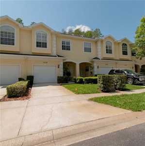 3436 Primrose WAY Palm Harbor, FL 34683