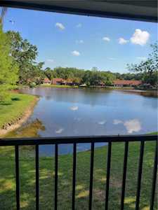 3423 Mermoor Dr #206 Palm Harbor, FL 34685
