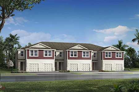 25959 Woven Wicker BEND Lutz, FL 33559