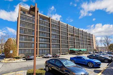 235 Winthrop St #5503 Medford, MA 02155