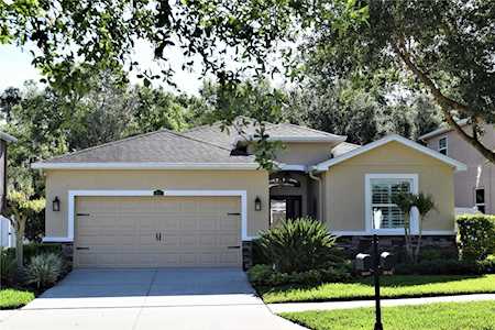 3041 Calvano Dr Land O Lakes, FL 34639