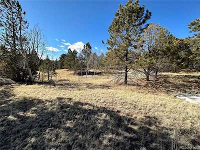 98 Gleneagle Dr Florissant, CO 80816