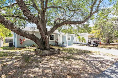 1511 Douglas Ave Dunedin, FL 34698