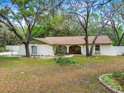 11208 Donneymoor Dr Riverview, FL 33569