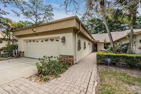 3015 Bolt Dr Palm Harbor, FL 34685