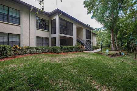 3301 Crystal Ct E #O Palm Harbor, FL 34685