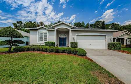 11413 Bloomington Ct New Port Richey, FL 34654