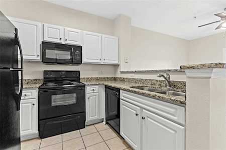 1910 E Palm Ave #11119 Tampa, FL 33605