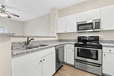 1910 E Palm Ave #11316 Tampa, FL 33605