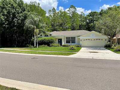 1115 Mistwood Dr Tarpon Springs, FL 34688