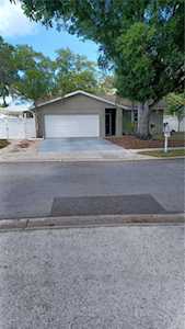 3060 Sugar Bear Trl Palm Harbor, FL 34684