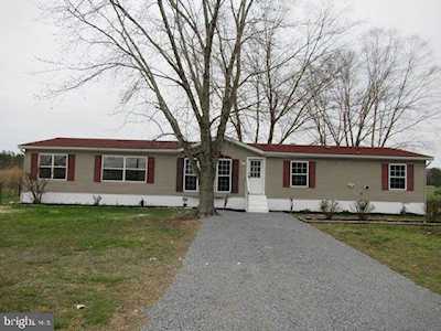 31735 E Trap Pond Rd Laurel, DE 19956