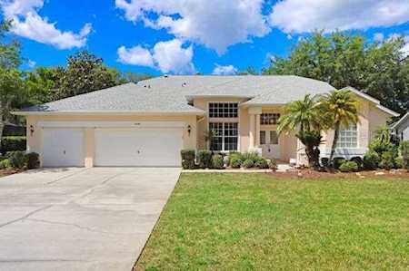5641 Wellfield Rd New Port Richey, FL 34655