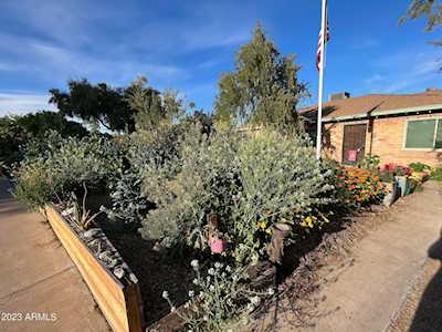 5603 N 12th Avenue Phoenix, AZ 85013
