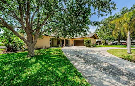 1038 Lemon Tree Ln Palm Harbor, FL 34683