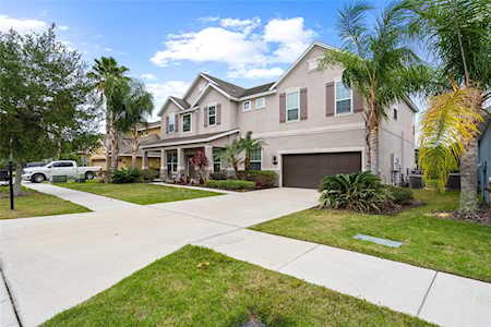 19123 Sweet Clover Ln Tampa, FL 33647