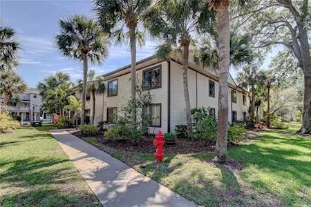 346 Moorings Cove Dr #346 Tarpon Springs, FL 34689