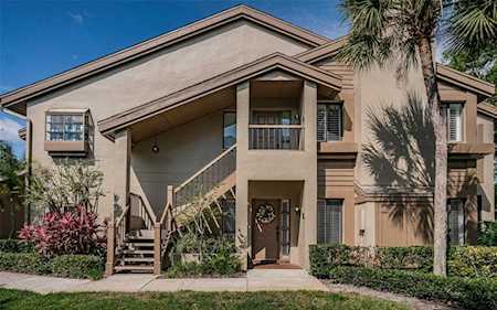 3071 Landmark Blvd #1405 Palm Harbor, FL 34684