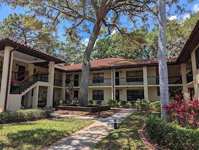 104 Hammock Pine Blvd Clearwater, FL 33761