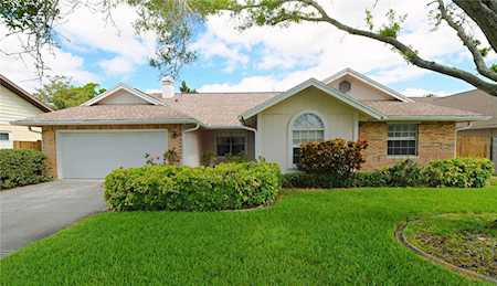 1559 Bering Ct Palm Harbor, FL 34683
