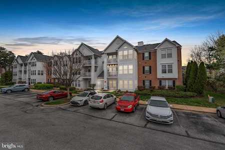 2400 Autumn Harvest Ct #301 Odenton, MD 21113