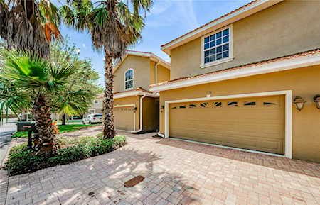 1312 Riserva Ln Palm Harbor, FL 34683