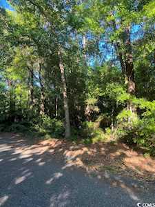 tbd Goodson Loop Pawleys Island, SC 29585