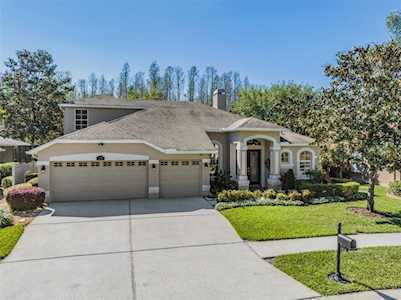 17728 Glenapp Dr Land O Lakes, FL 34638