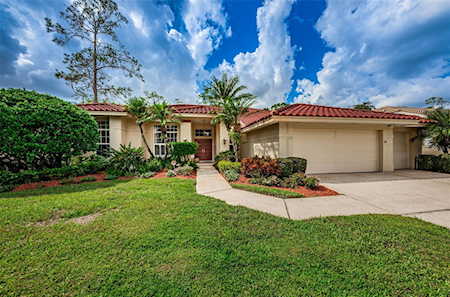 4944 Kilkenney WAY Oldsmar, FL 34677