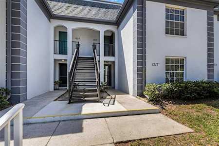 1217 N Mcmullen Booth Rd #1217 Clearwater, FL 33759