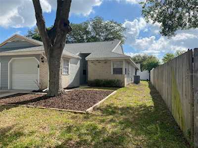 325 Phlox Dr Palm Harbor, FL 34684
