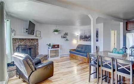 23800 County Road 16 #403 Oak Creek, CO 80467