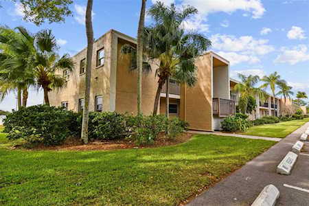 12300 Park Blvd #215 Seminole, FL 33772