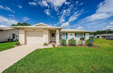 1495 Dundee Dr Palm Harbor, FL 34684