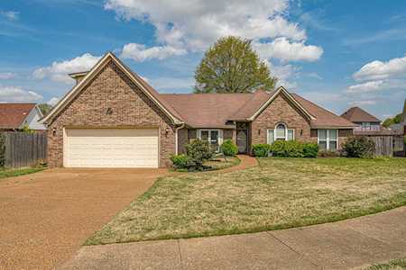 314 Wolf Lair Cv Collierville, TN 38017