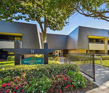 36750 Us Highway 19 N #14209 Palm Harbor, FL 34684