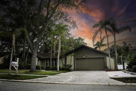 197 Winding Willow Dr Palm Harbor, FL 34683