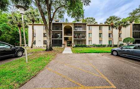 1398 Shady Pine WAY #D3 Tarpon Springs, FL 34688