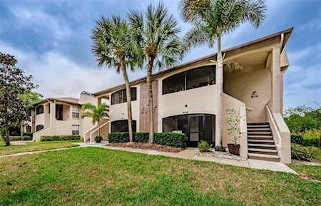 3012 Bonaventure CIRCLE #204 Palm Harbor, FL 34684