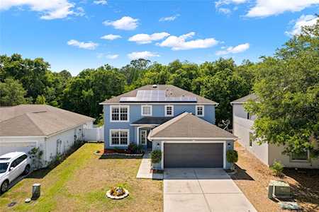 3345 Bellericay Ln Land O Lakes, FL 34638