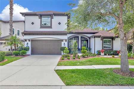 8007 Cypress Crossing Ct Tampa, FL 33647