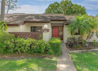2907 Boxwood Ct Palm Harbor, FL 34684