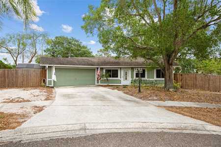 506 Summerwood Ct Tarpon Springs, FL 34689